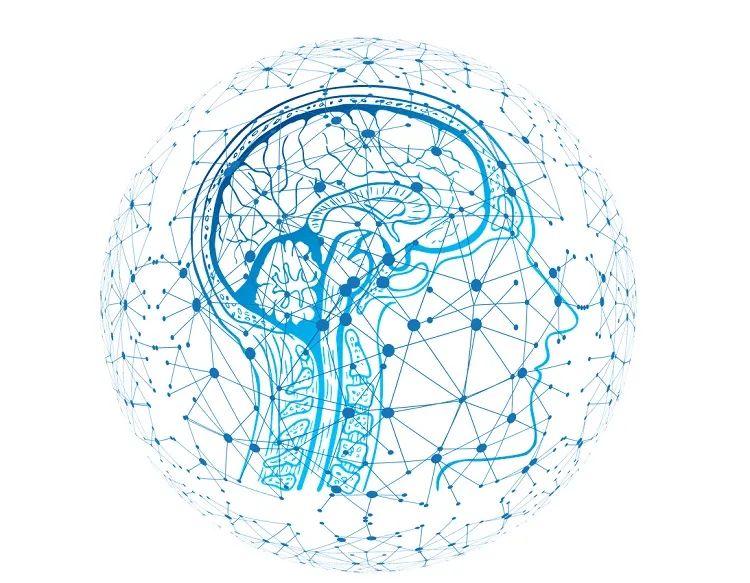 regulación emocional profunda sistema nervioso